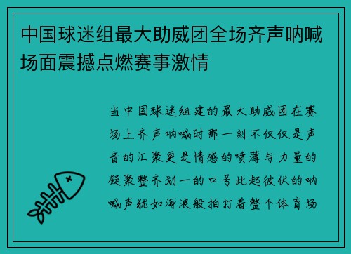 中国球迷组最大助威团全场齐声呐喊场面震撼点燃赛事激情